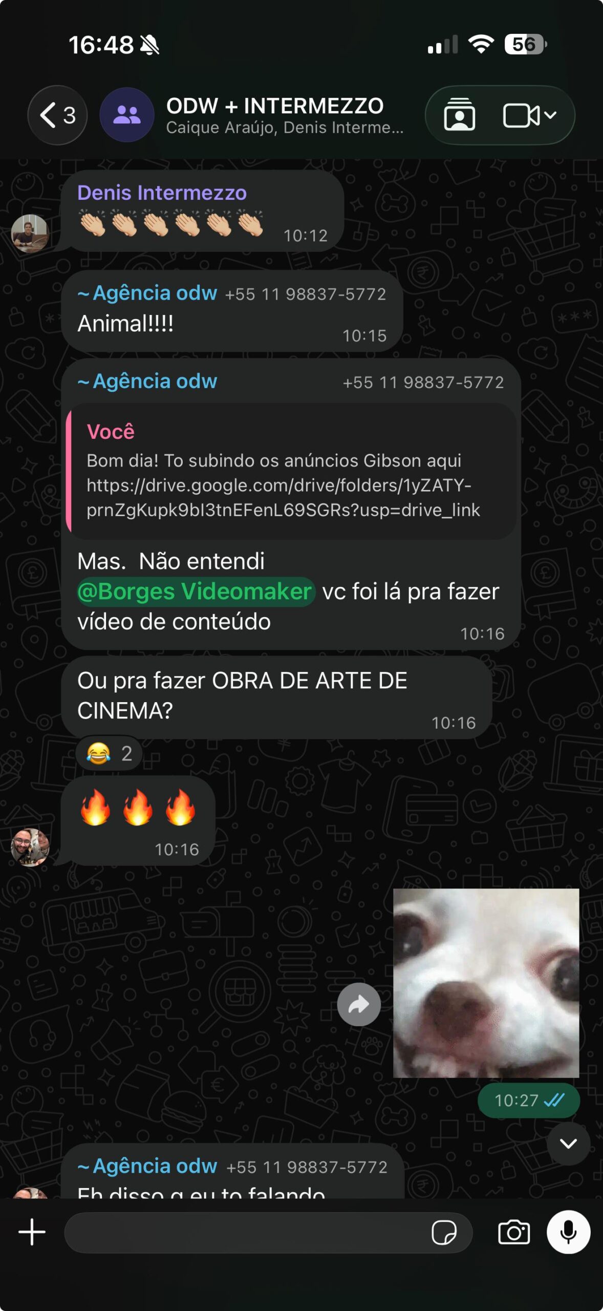 Depoimento ODW